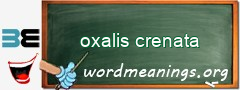 WordMeaning blackboard for oxalis crenata
